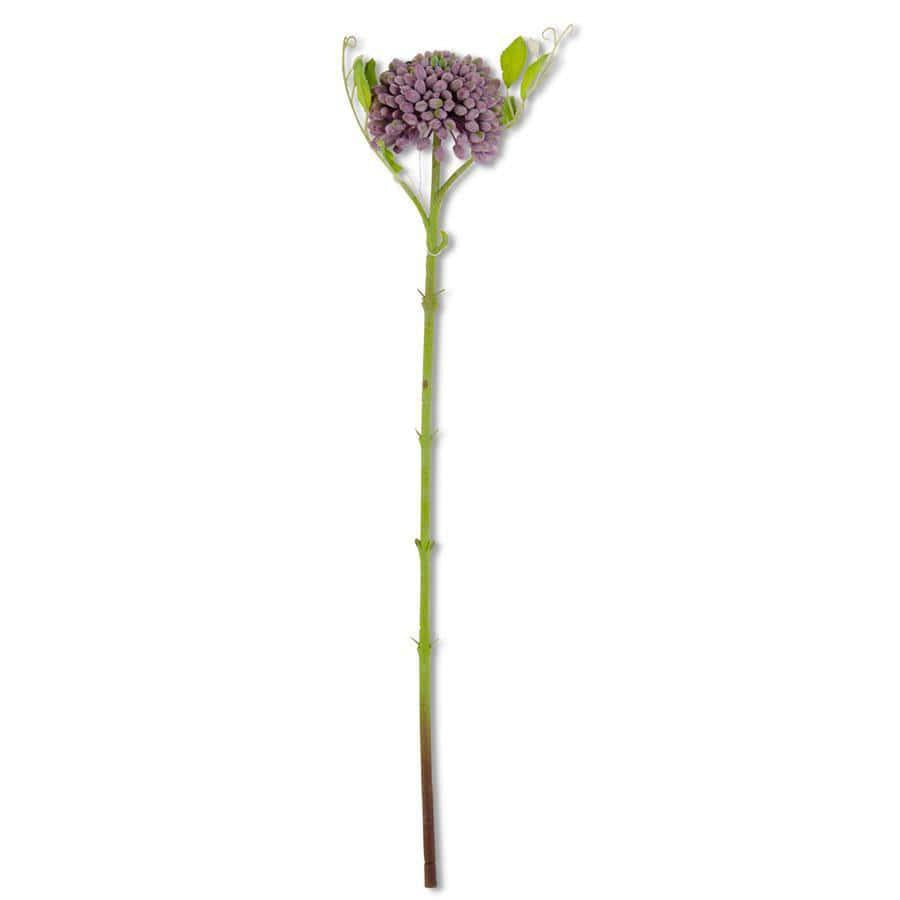 Purple Real Touch Sedum Stem